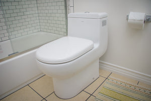 EAGO TB351 Dual Flush One Piece Eco-friendly High Efficiency Low Flush Ceramic Toilet