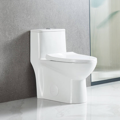 Blossom Compact T9 02  One-Piece Toilet – Dual Flush, Self-Cleaning, Easy Installation