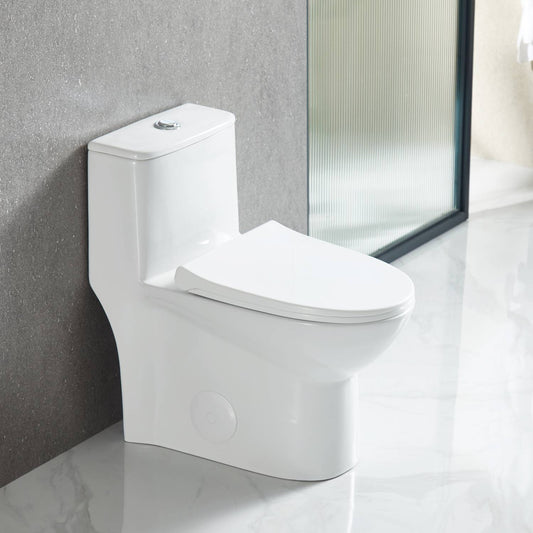 Blossom Compact T9 02  One-Piece Toilet – Dual Flush, Self-Cleaning, Easy Installation