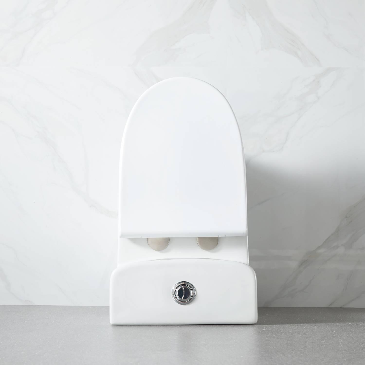 Blossom Compact T9 02  One-Piece Toilet – Dual Flush, Self-Cleaning, Easy Installation