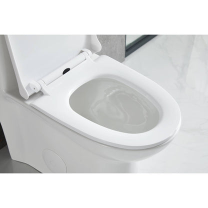 Blossom Compact T9 02  One-Piece Toilet – Dual Flush, Self-Cleaning, Easy Installation