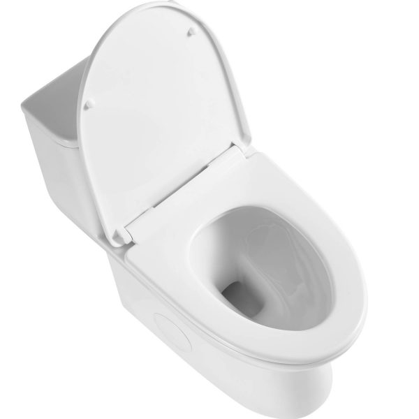 Blossom T9 03 Sleek One-Piece Toilet with Dual-Mode Flushing,  closeup