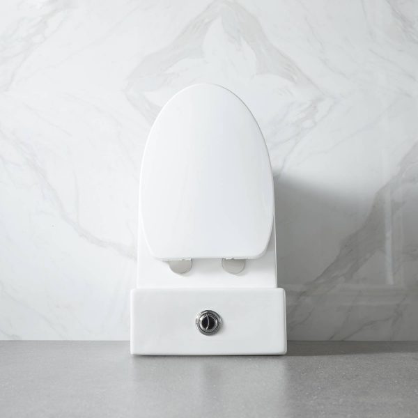 Blossom ADA-Compliant One-Piece Toilet T9 04, up, close