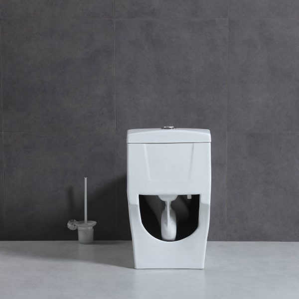 Blossom T9 05 One-Piece Toilet with Dual Cyclone Flush, back