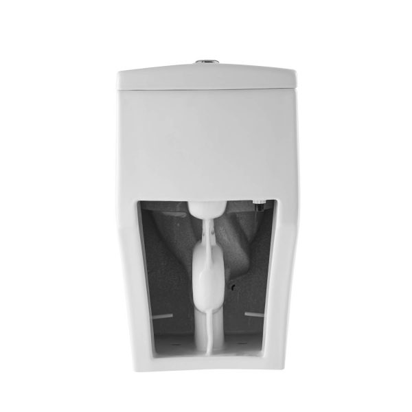 Blossom T9 05 One-Piece Toilet with Dual Cyclone Flush, back