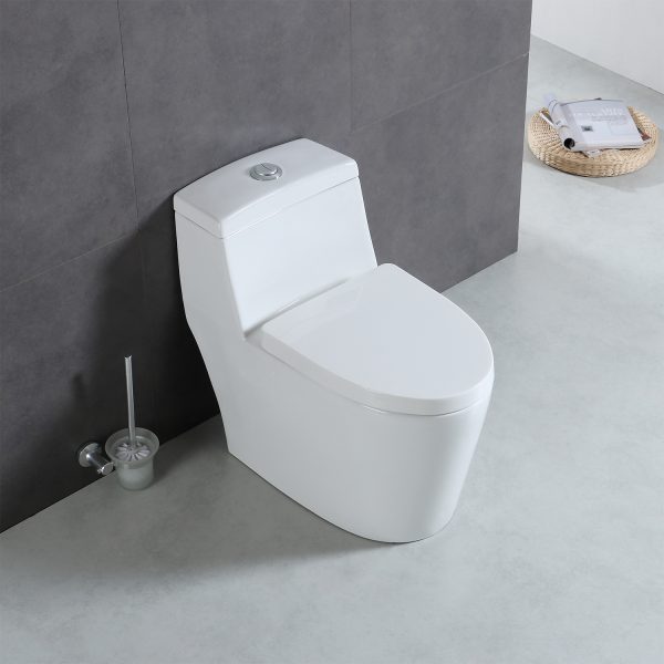 Blossom T9 05 One-Piece Toilet with Dual Cyclone Flush, up close