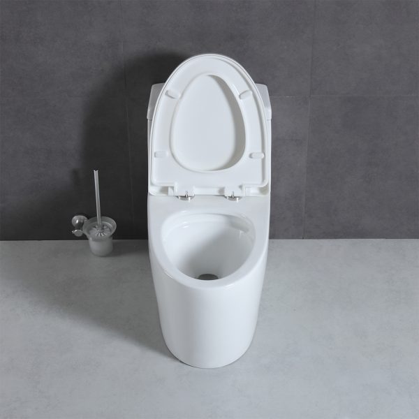 Blossom T9 05 One-Piece Toilet with Dual Cyclone Flush, front open