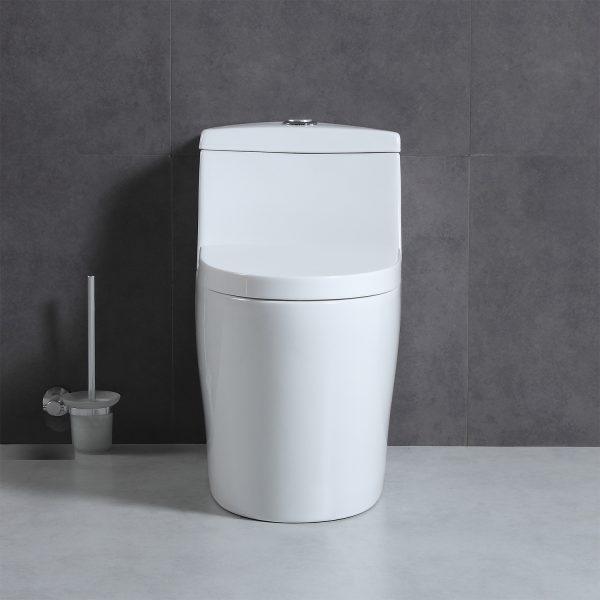 Blossom T9 05 One-Piece Toilet with Dual Cyclone Flush, up close