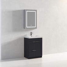 Load image into Gallery viewer, Blossom Hanover Freestanding Bathroom Vanity with acrylic Sink, 24&quot;, Charcoal