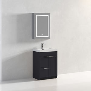 Blossom Hanover Freestanding Bathroom Vanity with acrylic Sink, 24", Charcoal