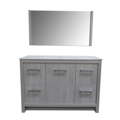 Bellaterra 48-Inch Single Sink Vanity - Gray 502001B-48S, Front