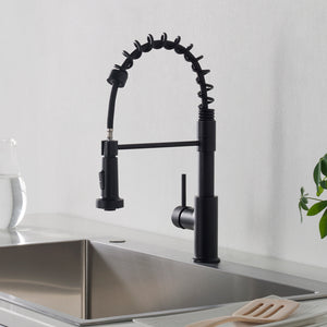 Single Handle Pull Down Kitchen Faucet F01 205 Brush Nickel / Black