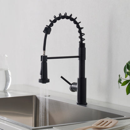 Single Handle Pull Down Kitchen Faucet F01 205 Brush Nickel / Black