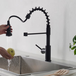 Single Handle Pull Down Kitchen Faucet F01 205 04 Matte Black water