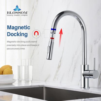 Blossom Single Handle Pull Down Kitchen Faucet F01 206