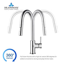 Load image into Gallery viewer, Blossom Single Handle Pull Down Kitchen Faucet F01 206