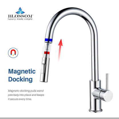 Blossom Single Handle Pull Down Kitchen Faucet F01 206