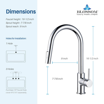 Blossom Single Handle Pull Down Kitchen Faucet F01 206