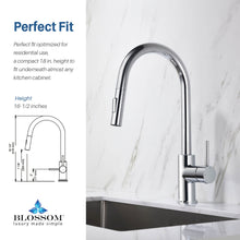 Load image into Gallery viewer, Blossom Single Handle Pull Down Kitchen Faucet F01 206