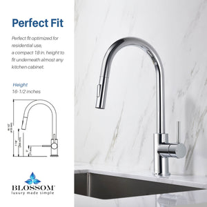 Blossom Single Handle Pull Down Kitchen Faucet F01 206