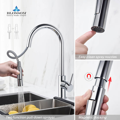 Blossom Single Handle Pull Down Kitchen Faucet F01 206