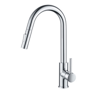 Load image into Gallery viewer, Single Handle Pull Down Kitchen Faucet F01 206 01 Chrome