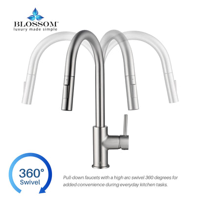 Blossom Single Handle Pull Down Kitchen Faucet F01 206