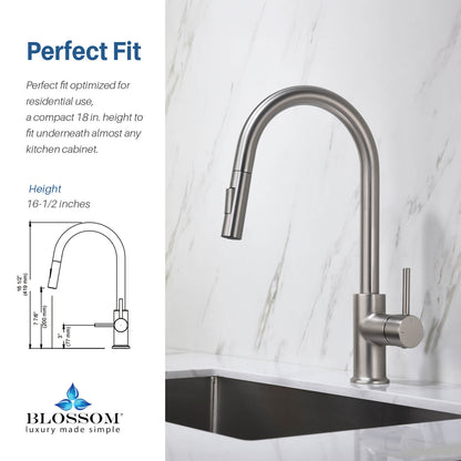 Blossom Single Handle Pull Down Kitchen Faucet F01 206