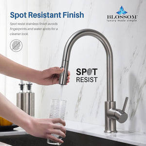 Blossom Single Handle Pull Down Kitchen Faucet F01 206