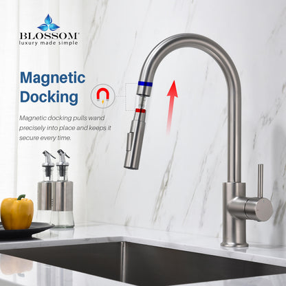 Blossom Single Handle Pull Down Kitchen Faucet F01 206