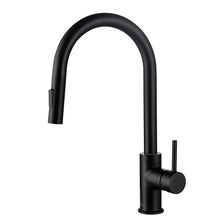 Load image into Gallery viewer, Single Handle Pull Down Kitchen Faucet F01 206 04 Matte Black