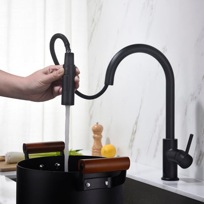 Blossom Single Handle Pull Down Kitchen Faucet F01 206