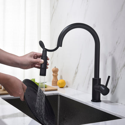 Blossom Single Handle Pull Down Kitchen Faucet F01 206