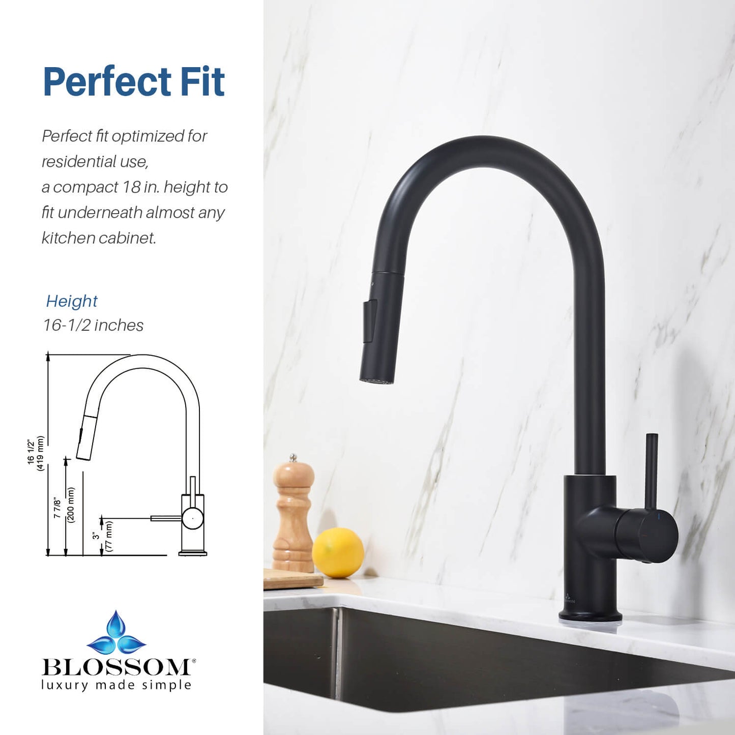 Blossom Single Handle Pull Down Kitchen Faucet F01 206