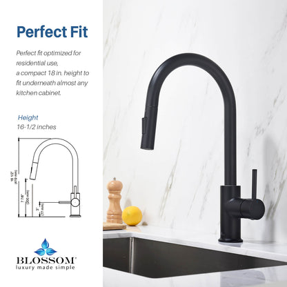 Blossom Single Handle Pull Down Kitchen Faucet F01 206