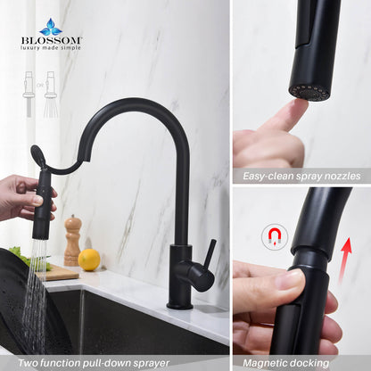 Blossom Single Handle Pull Down Kitchen Faucet F01 206