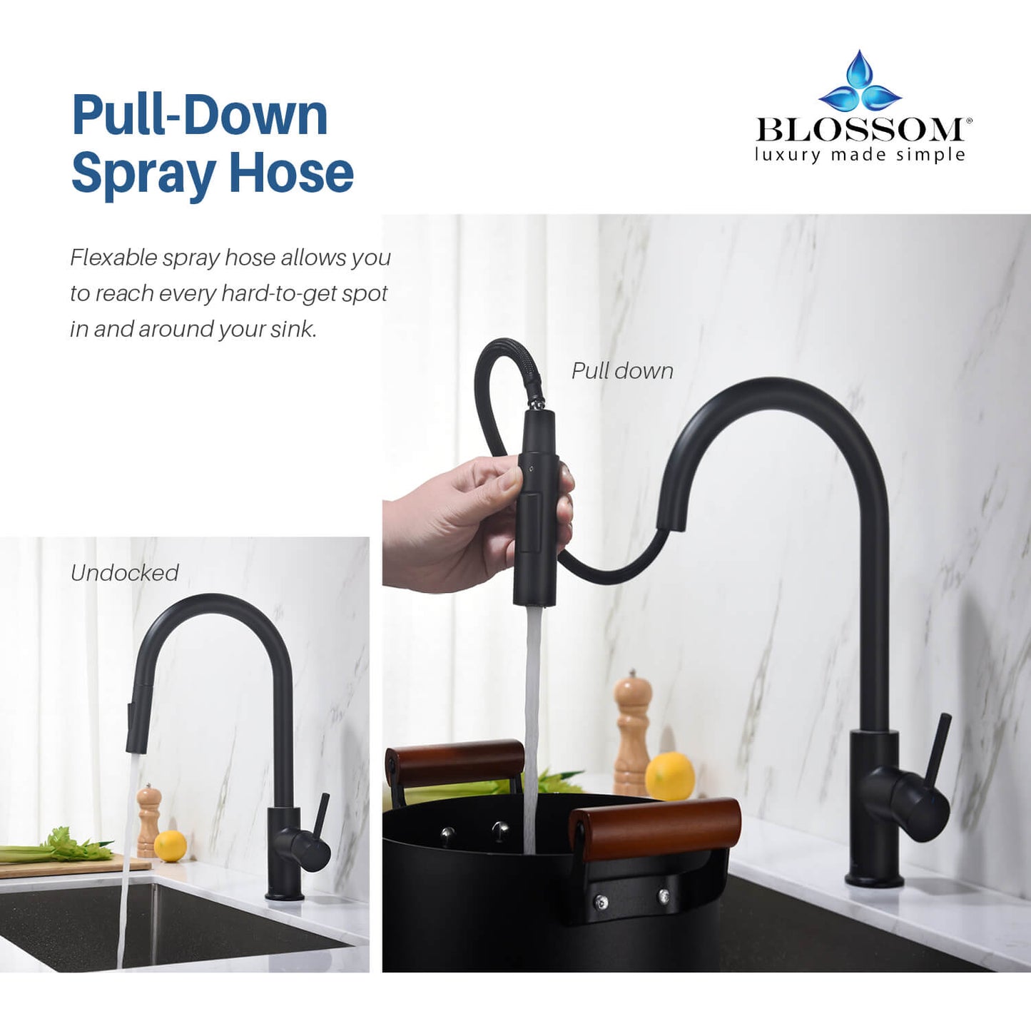 Blossom Single Handle Pull Down Kitchen Faucet F01 206