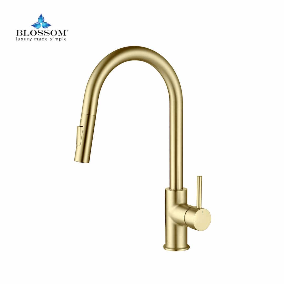 Single Handle Pull Down Kitchen Faucet F01 206 06 Brush Gold