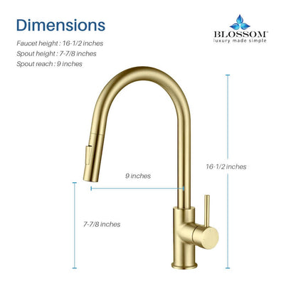 Blossom Single Handle Pull Down Kitchen Faucet F01 206