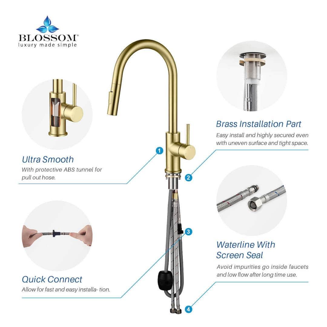 Blossom Single Handle Pull Down Kitchen Faucet F01 206