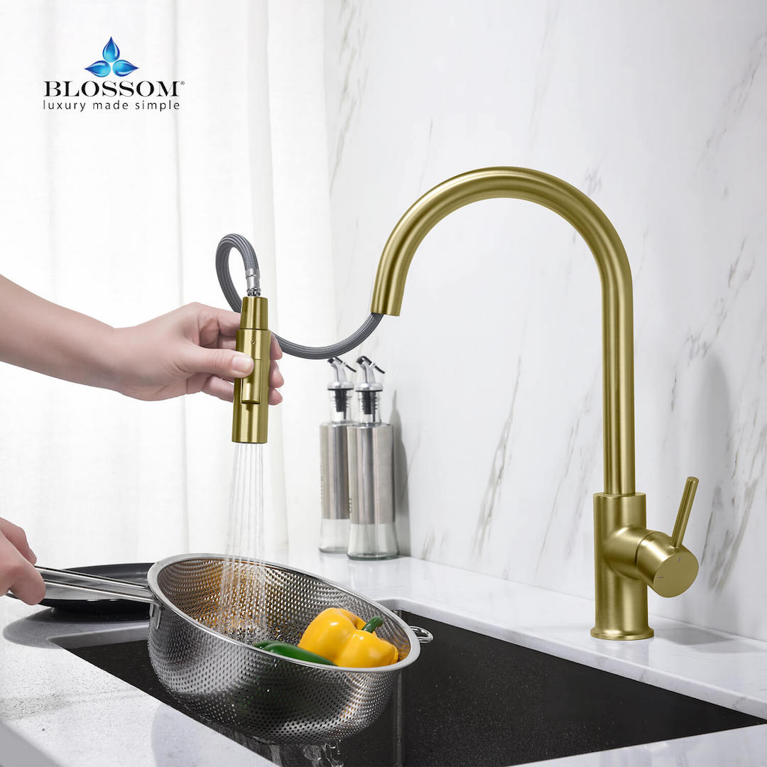 Blossom Single Handle Pull Down Kitchen Faucet F01 206