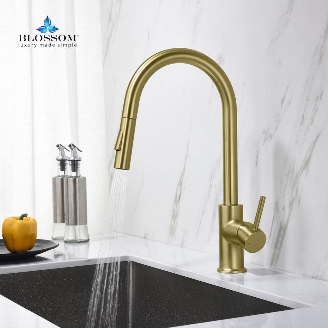 Blossom Single Handle Pull Down Kitchen Faucet F01 206