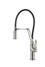 Load image into Gallery viewer, Single Handle Pull Out Kitchen Faucet F01 209 02 in Brush Nickel