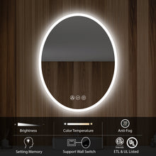 Load image into Gallery viewer, Blossom Oval LED Mirror Frosted Sideת Touch Control &amp; Dual Mounting, 20&quot; x 30&quot; 