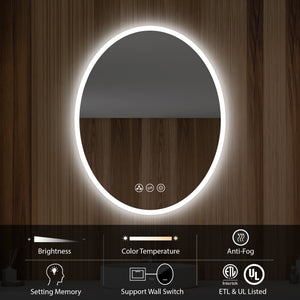 Blossom Oval LED Mirror Frosted Sideת Touch Control & Dual Mounting, 20" x 30" 
