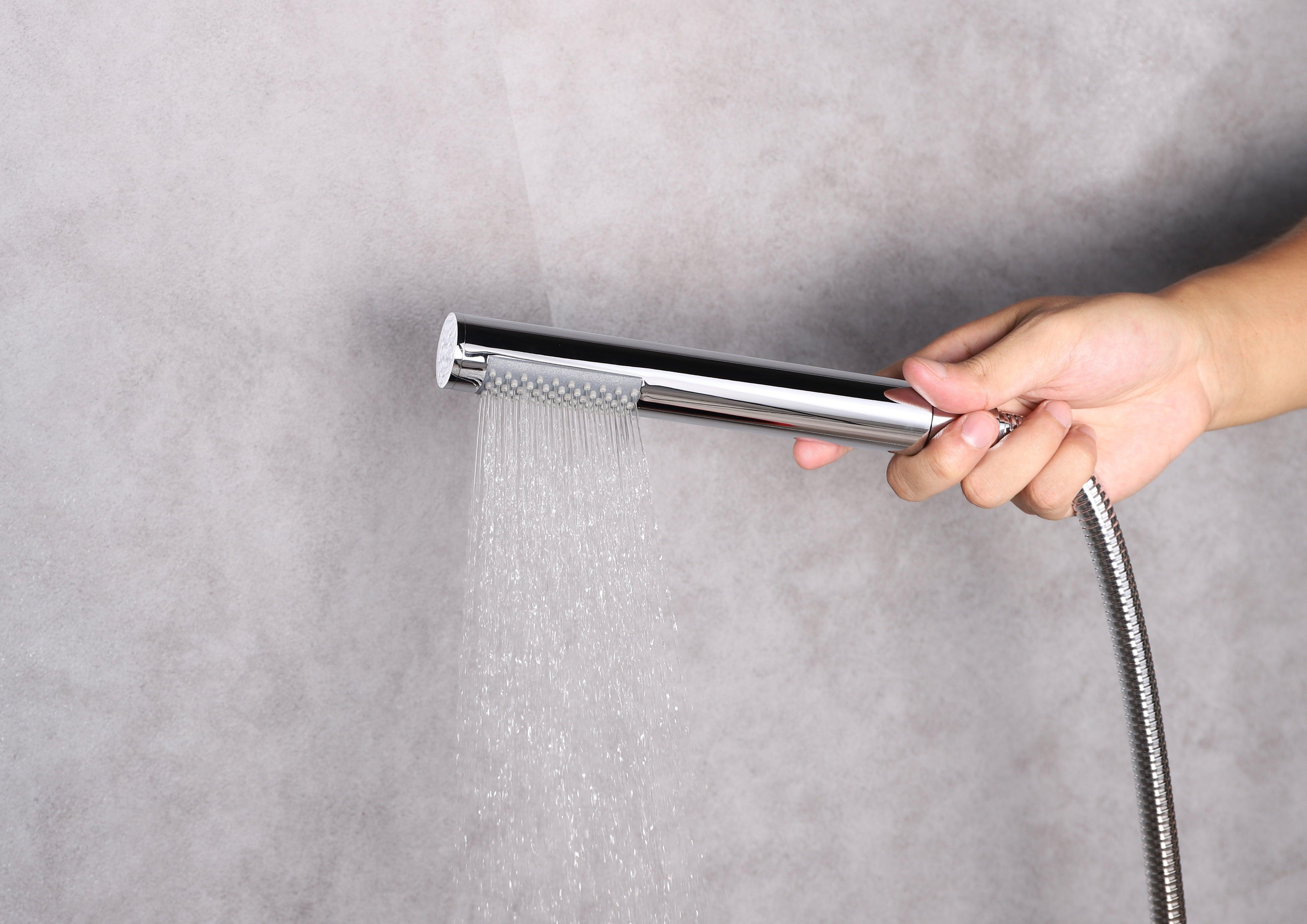 Salamonio Set, 8" Round Rain Shower and Handheld in Chrome or Matte Black