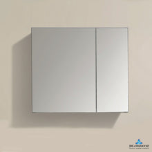 Load image into Gallery viewer, Blossom 25″ Aluminum Medicine Cabinet with Mirror – MC7 2526