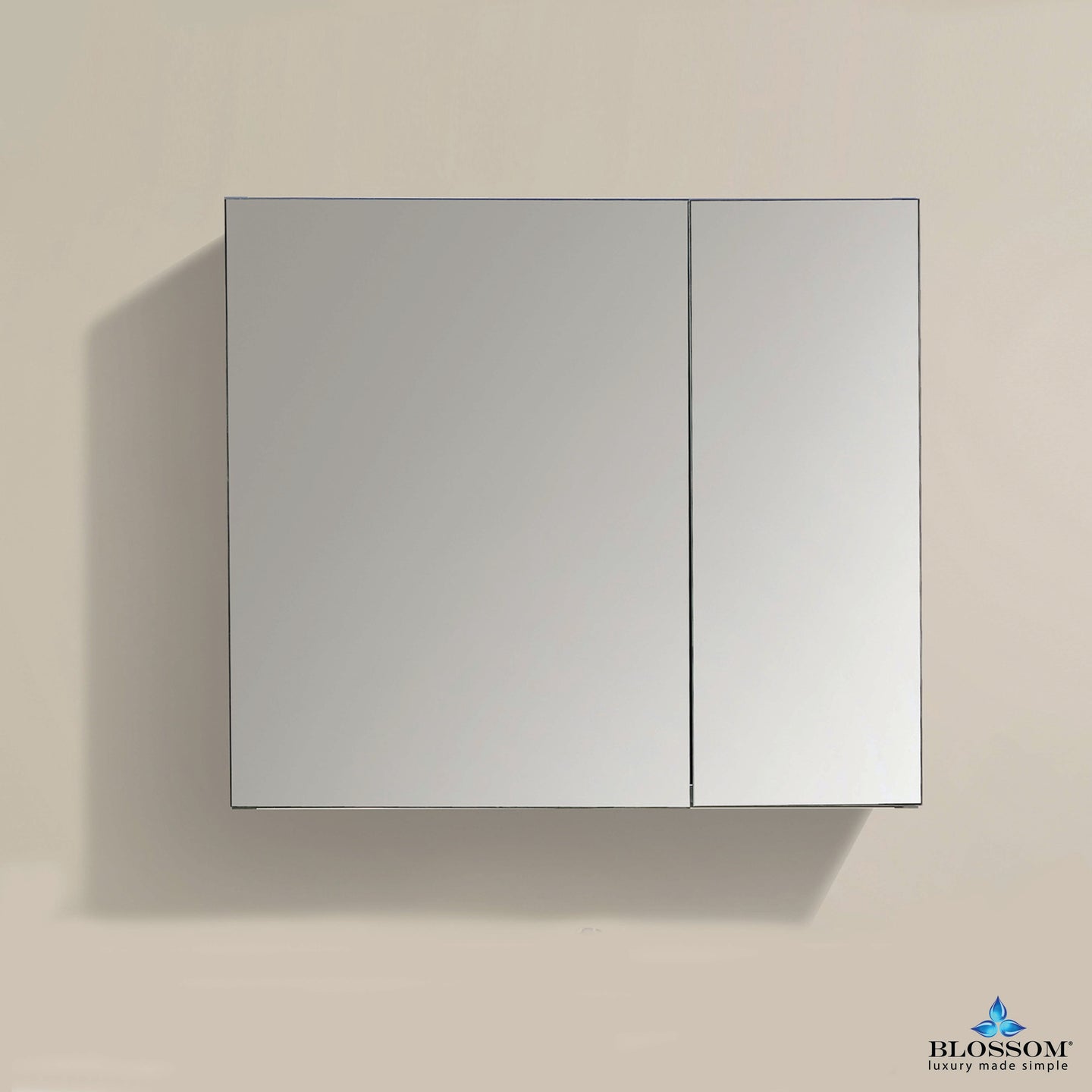 Blossom 25″ Aluminum Medicine Cabinet with Mirror – MC7 2526