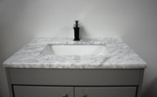 Load image into Gallery viewer, Volpa USA Capri 24&quot; Modern Bathroom Gray Vanity MTD-3524BK-1C c