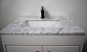 Volpa USA Capri 24" Modern Bathroom White Vanity MTD-3524W-1C C1